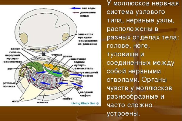 Кракен сайт как зайти